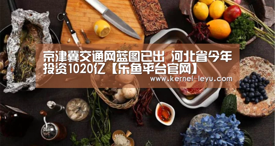 乐鱼官网