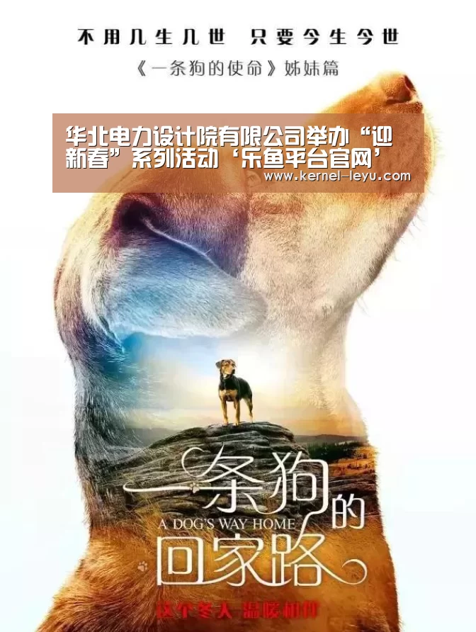 乐鱼平台官网