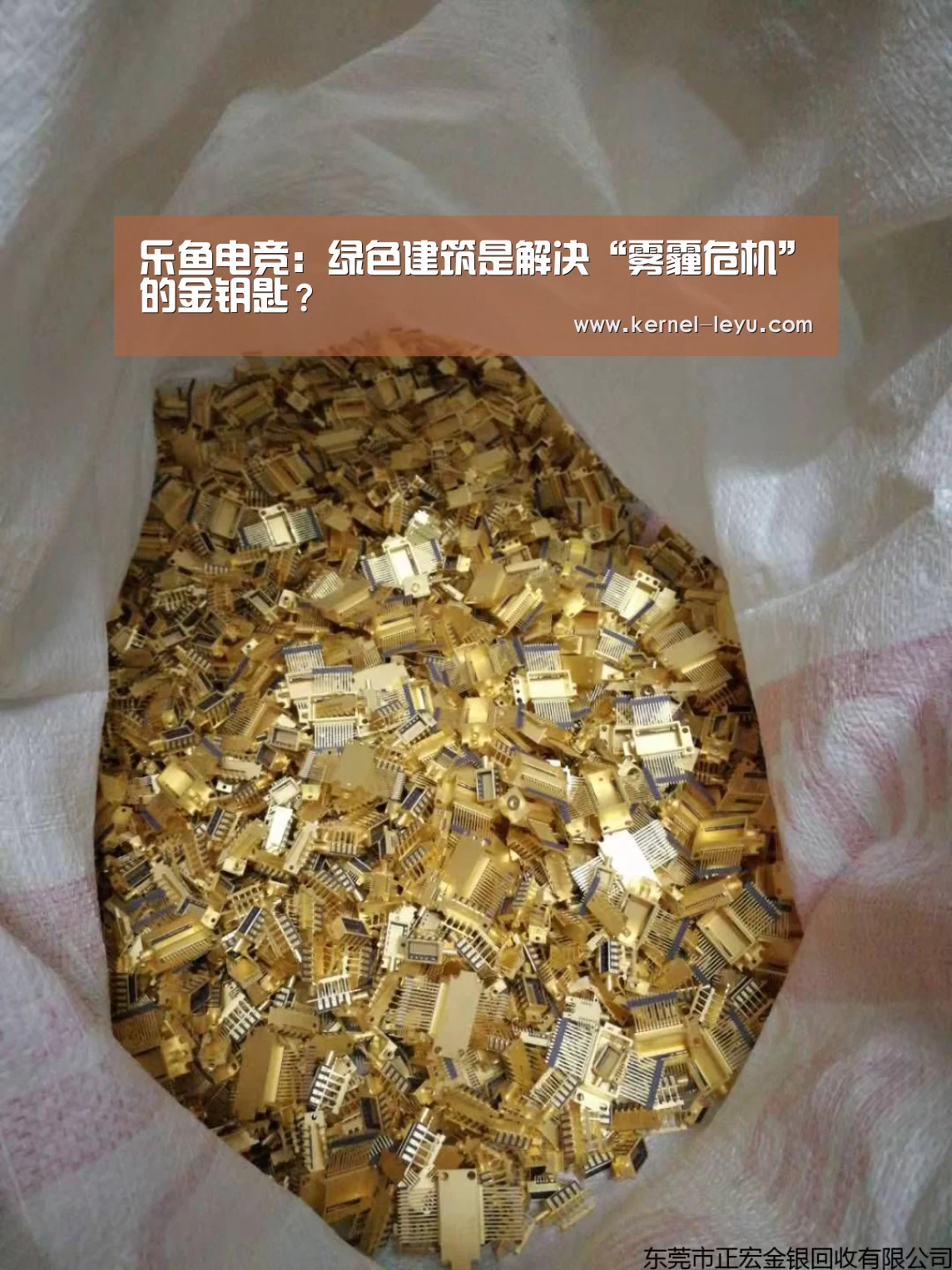 乐鱼官网