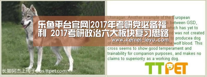 乐鱼平台官网