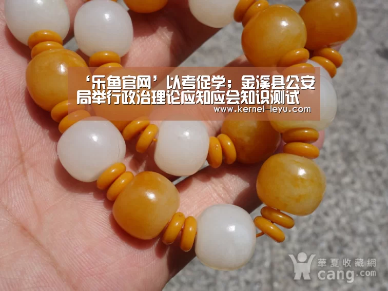 乐鱼电竞