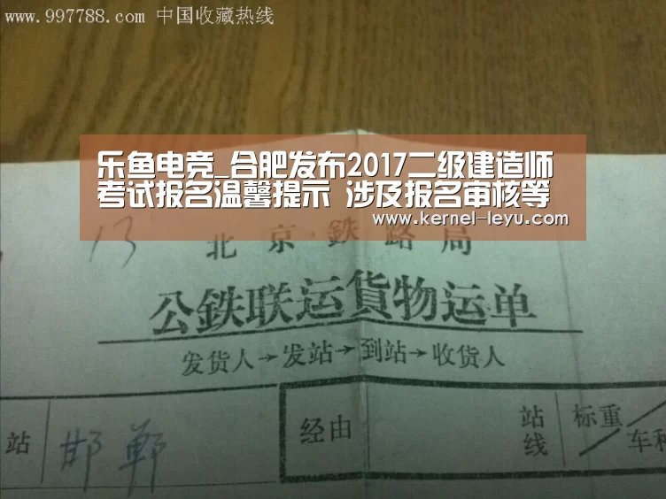 乐鱼官网