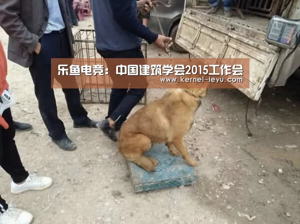 乐鱼官网登录
