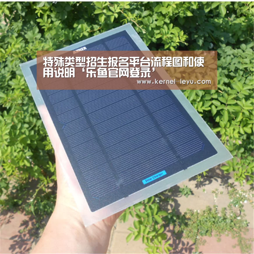 乐鱼官网