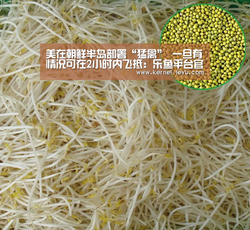 乐鱼平台官网